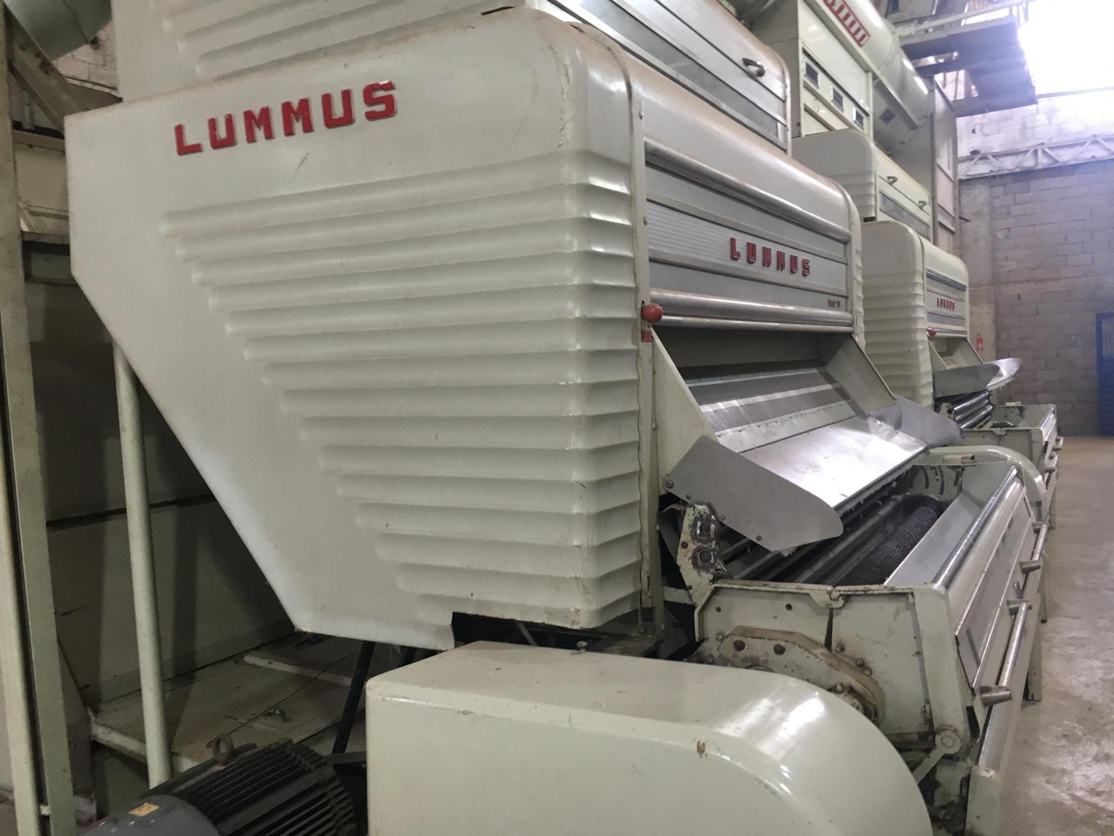 Lummus marka saw gin makinası